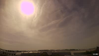 MC4 South 2026-05-29 11:00